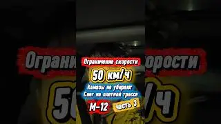 Ехал я по платной трассе М-12 ночью от Ульяновска до Москвы. И всю дорогу наблюдаю вот это...