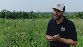 Tour of Converted Farmland into Prairie Habitat