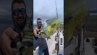 🇧🇷About last v&iacute;deo SW x SB. #fishingreel #fishing #fish