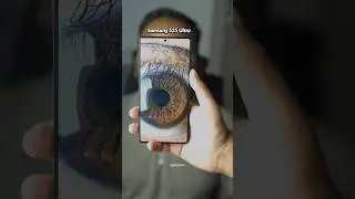 Тест камеры iPhone 17 Pro Max против Samsung Galaxy S25 Ultra: макроснимок