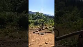 Molto bravo