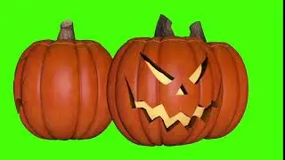 Pumpkins Pantalla Verde / Green Screen | Chroma Key | HD