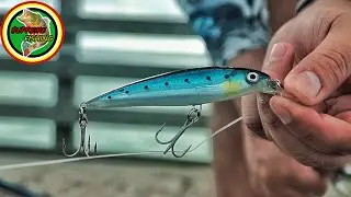 This Lure Catches Too Many Fish! (Pier Fishing Jacks, Spanish Mackerel, Ladyfish and More)
