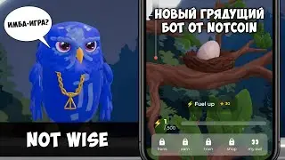 НОВЫЙ ПРОЕКТ ПРИ ПОДДЕРЖКЕ NOTCOIN - NOT WISE, БУДЕТ ЛИ ДЕЙСТВИТЕЛЬНО ОТЛИЧНОЙ ИГРОЙ? &bull; КРИПТО НЕК