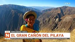 REPORTAJE: CA&Ntilde;&Oacute;N PILAYA