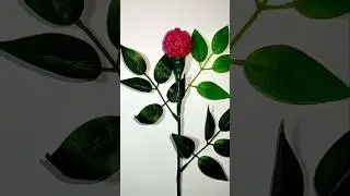 Apple cover craft 💐 #craft #crafty #crafting #craftideas #craftidea #crafts #applecraft