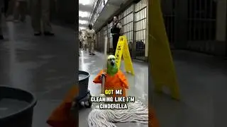 🦜 Rude Parrot Brody Punished Cleaning the Prison 🧹😡 #funny #talkingparot #viral #birds #parrot