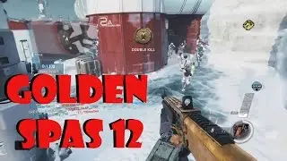 INFINITE WARFARE GOLDEN SPAS 12 (S-RAVAGE)