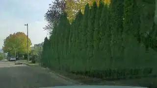 Driving home tour of Portland's SW Bull Mountain area, Tigard Oregon 포틀랜드 타이가드 불마운틴 지역 차량홈투어