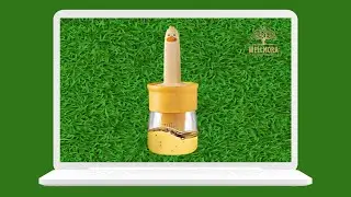 WELLMORA Premium Cooking Oil Dispenser Bottle with Silicone Brush 200ML