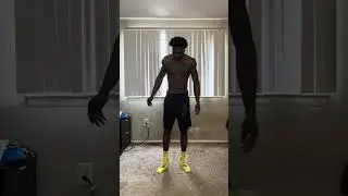 Beginner Version of my Calisthenic Workout 