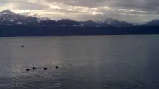 Zicht op het meer van Gen&egrave;ve vanop de kaai in Ouchy (Lausanne)
