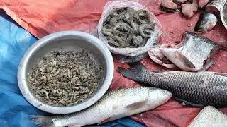 430th vlog //আজ মকর সংক্রান্তি। 2026 এ ভিডিও শুরু করলাম আবার //