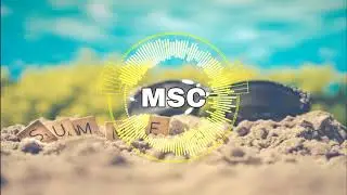 Summer (feat Dolve Gando)MSC