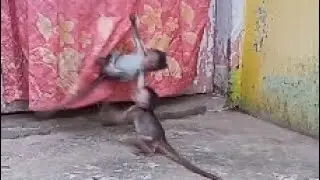 pull!πg pull!πg bit!πg bit!πg