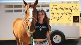 Fundamentals/ Colt Starting