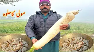 Mooli Recipe Healthy Recipe of Turnips | Mooli Ka Healthy Halwa Winter Special