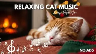 CAT STRESS HEALER &ndash; RELAXING AMBIENT | COZY SOFT PILLOW ROOM 🛏️✨