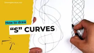 Learn to Draw S Curves for Better Flow in Art