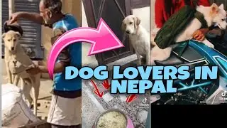 Dog Lovers Nepal ❣️ | World Pet Planets