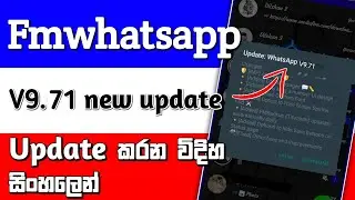 Fmwhatsapp V9.71 new update video
