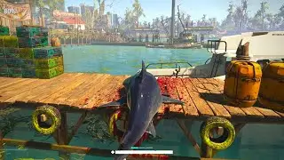 Top 10 Realistic Graphics Games For Android & iOS 2020