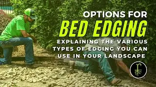 Types of Landscape Bed Edging