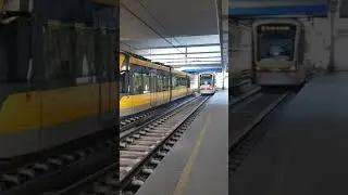 Porto Metro Bombardier Flexity Swift 113 Departing Porto Campanha on 26/11/22 #shorts