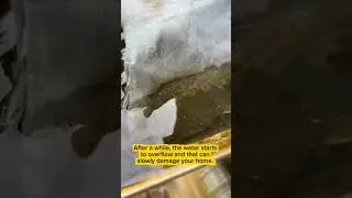 Edinburgh Gutter Cleaning