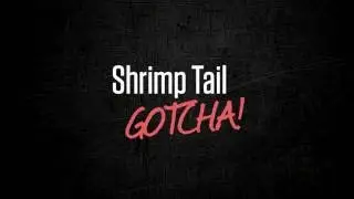 Fly tying: The Shrimp Tail Gotcha