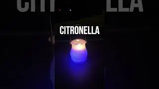 Coleman Color Changing Citronella Candle