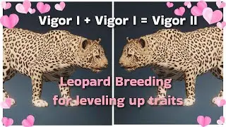 Level up Animal traits Once Human
