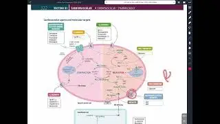 High-Yield First Aid: Cardiology & Pharmacology for USMLE Step 1, Step 2, Step 3 &ndash; Detailed