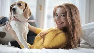 Beagle Dog, Puppies, Temperament, Training, Health and Lifespan