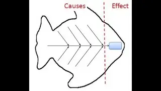 Fishbone Diagram