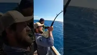 Why Catching a Tuna Fish Feels Like Winning the Lottery #shorts #TunaFish 🐟 #BluefinTuna #Expensive