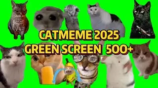 500 уморительных кошачьих мемов 2026 года на зелёном фоне &ndash; лучшая подборка! || Клуб кошачьих мемов🤣