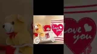 Happy teddy day |teddy day special what's app status | Teddy day 2021