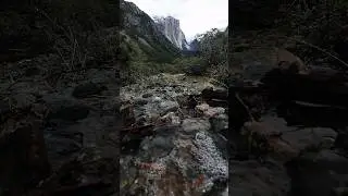 the valley #nature #yosemite #beauty