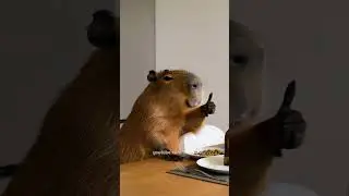 #capybara Capybara hosts a wild cooking show&mdash;recipe fails, food chaos, and calm vibes all the way