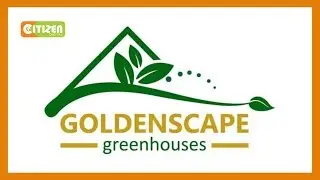 Police launch manhunt for Goldenscape CEO