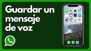 C&oacute;mo guardar un mensaje de voz de WhatsApp - Tutorial