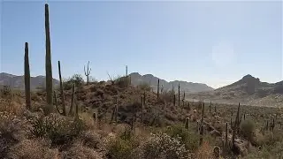 Long way to Peralta Road