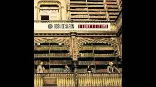Rosa de Saron - Quadro Novo