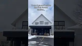Waiting for forever families