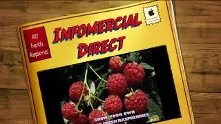 Everlife Raspberries Commercial As Seen On Tv By Infomercial Direct
