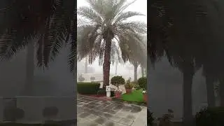 fog today's Kuwait