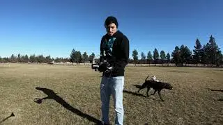 Pine Nursery Dog Park - Bend, Oregon