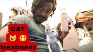 Cat fever treatment | Tamil | Vinothjustice