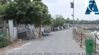 Adyar River